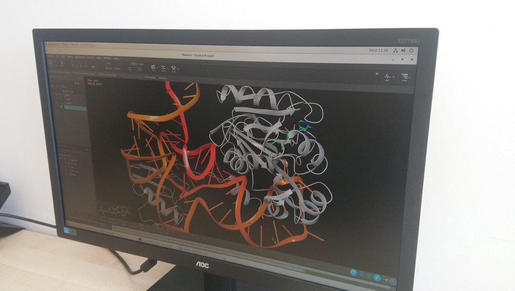 Lab social