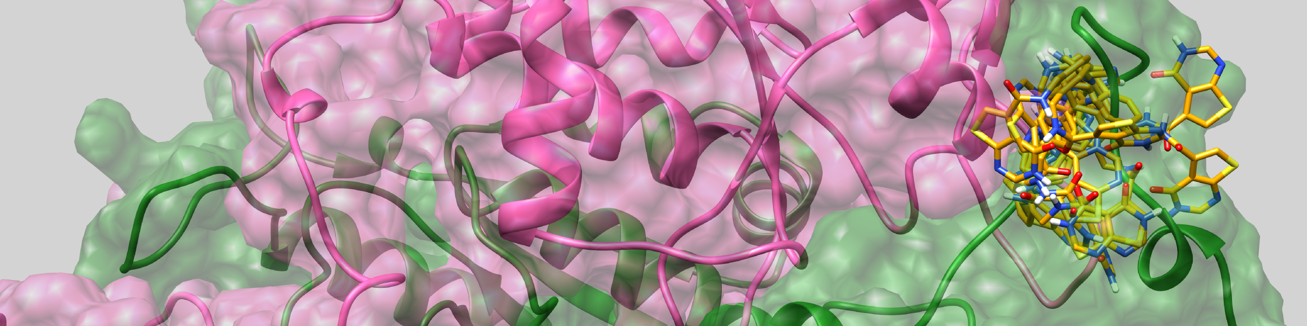 TrmD ligand binding project banner