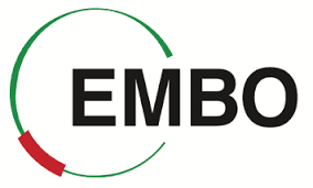 EMBO logo