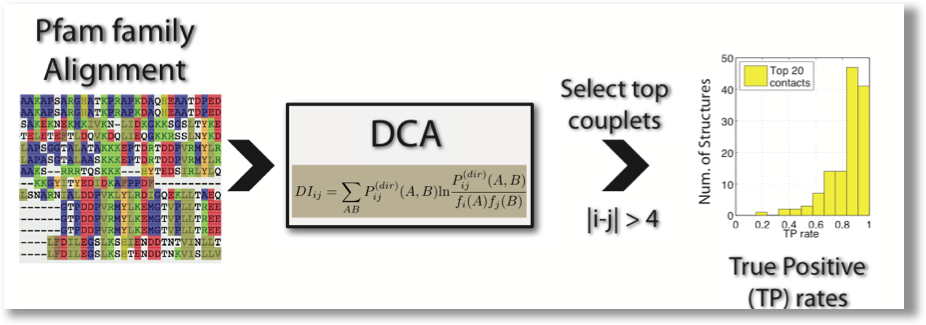 DCA pipeline