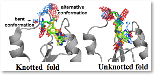 Knotted vs unknotted fold