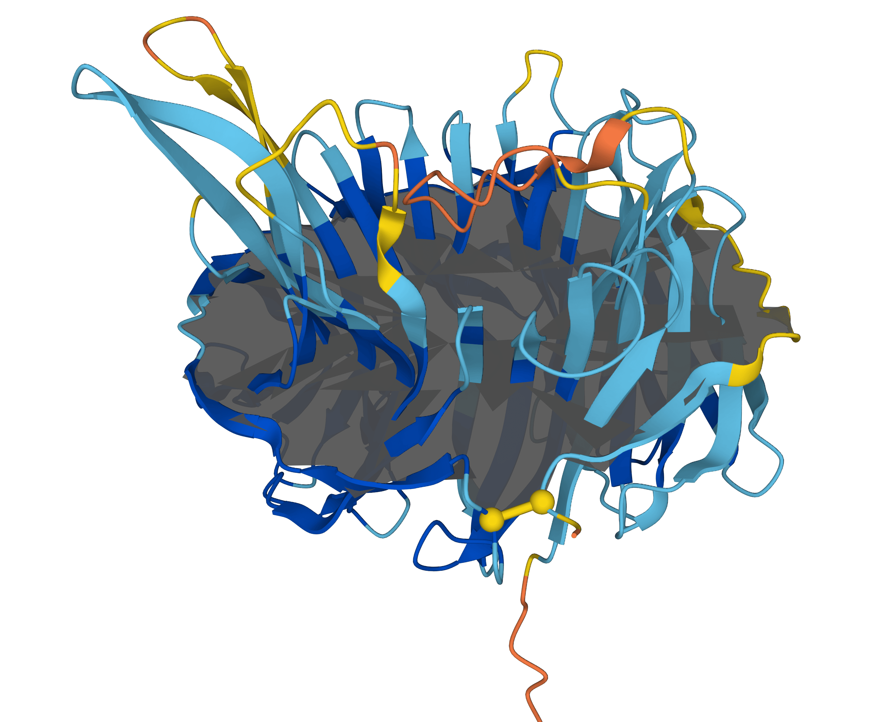 AlphaLasso