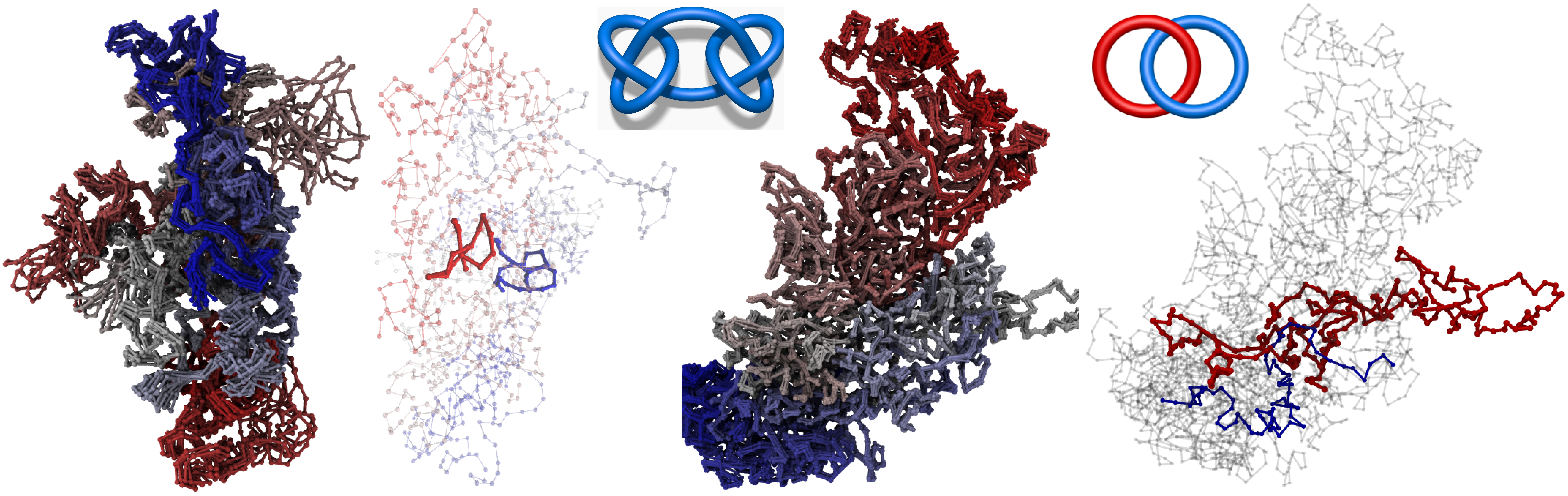 KnotGenome
