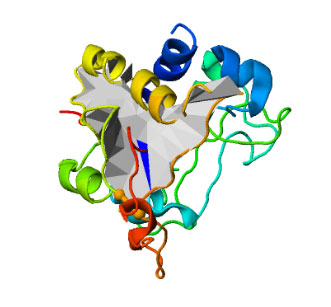 LassoProt